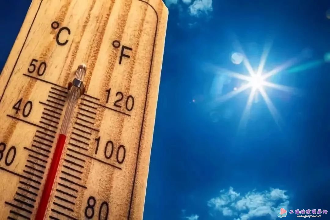 温度计 温度计